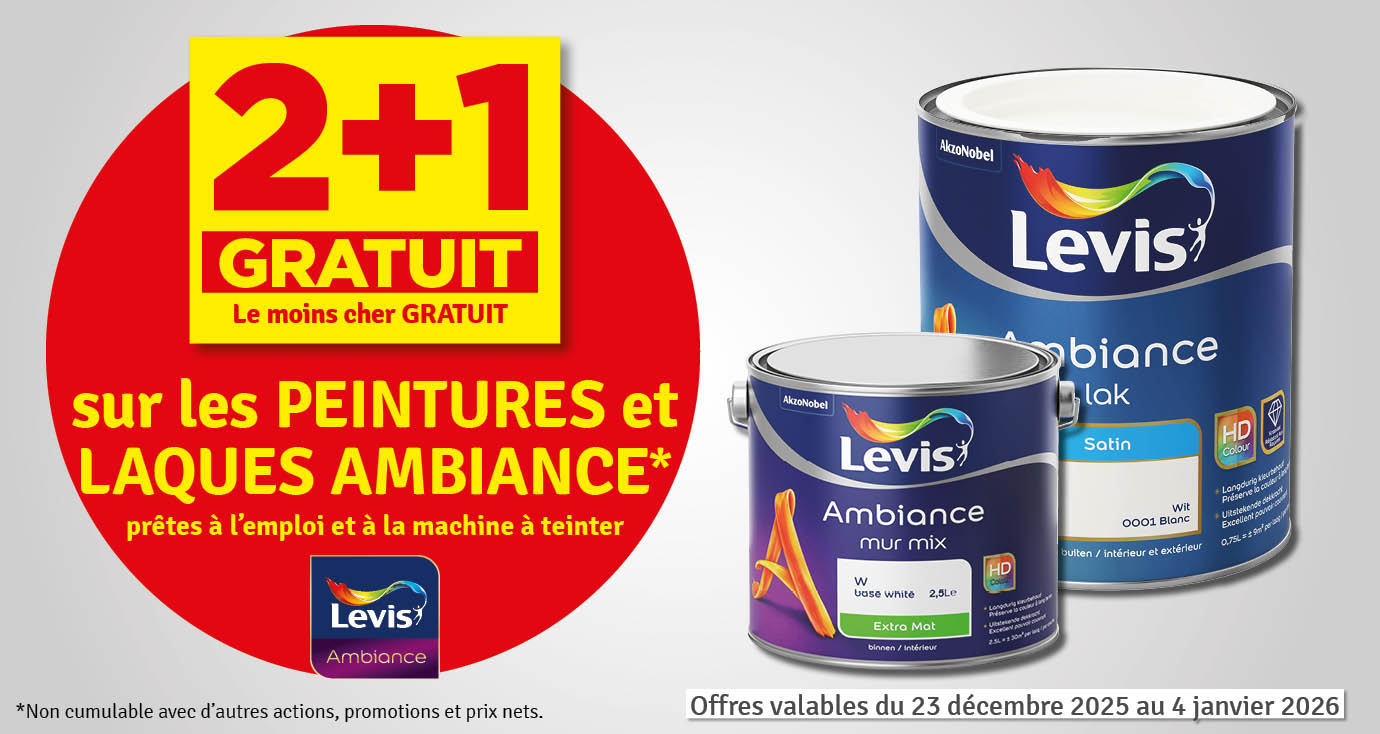 2 + 1 gratuit sur les peintures et laques Ambiance LEVIS